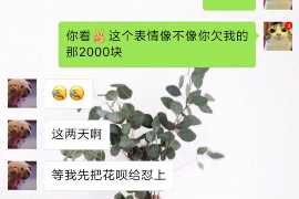 连南融资清欠服务